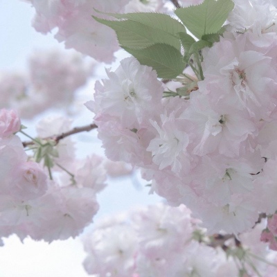 兽设山谷场景设计福瑞交流群